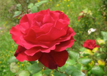 noojee_time_capsules1