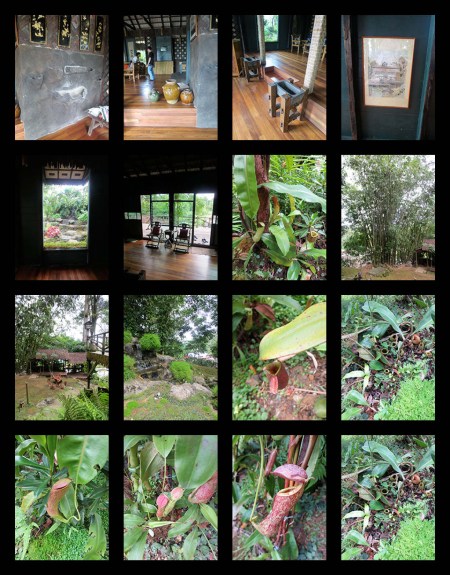 MORNING GLORY AND GEORGE_Page_3