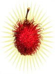 RAMBUTAN-BOMB
