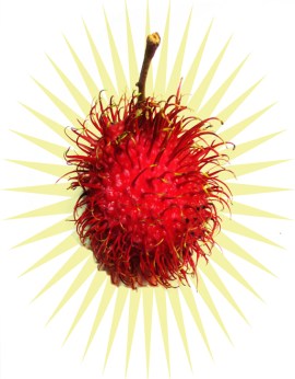 RAMBUTAN-BOMB