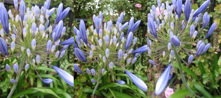 323915_573762645972926_929548041_o