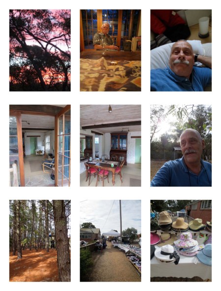 CASTLEMAINE(BENDIGO) JANUARY 2013_Page_6