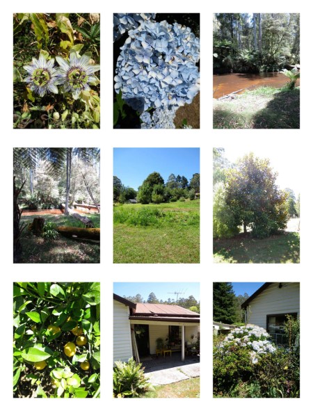 NOOJEE JANUARY 2013_Page_5