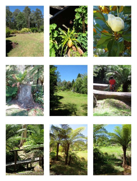 NOOJEE JANUARY 2013_Page_6