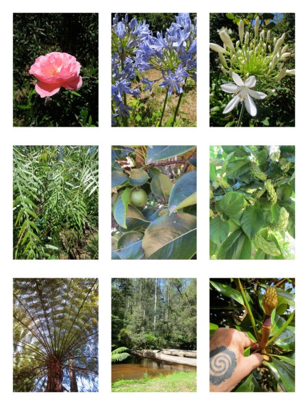 NOOJEE JANUARY 2013_Page_7