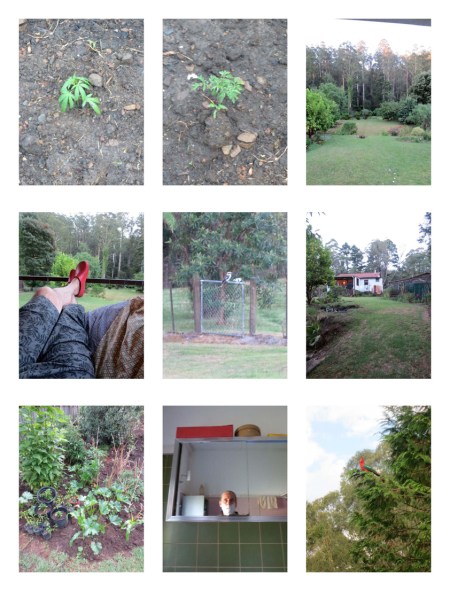 NOOJEE JANUARY 2013_Page_9