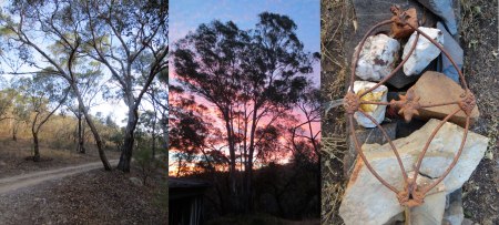 TRANSPARENT-DELIGHT-SOUTHERN-X