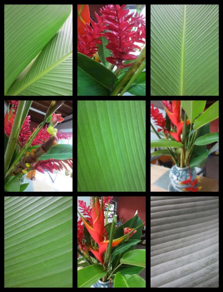 SUNDAY FLOWER 10_Page_2