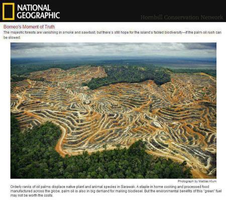 63037_621615414520022_1898791577_n