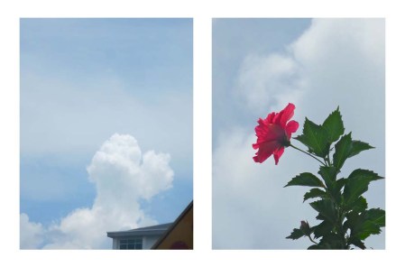 hendeca sathuday white 1