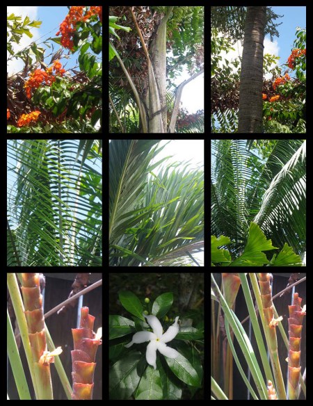 sathuday too far_Page_2