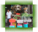 ARTHUR-CIGARETTES-GREENTWIST-