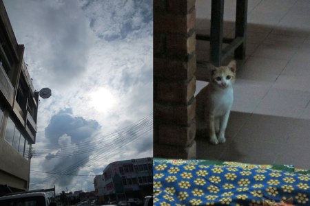 STORM-CAT