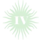 zig-zagx-copy-copyxx1xxx1V