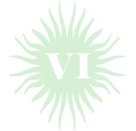 zig-zagx-copy-copyxx1xxxV1