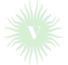 zig-zagx-copy-copyxx1xxxV