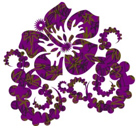 BEATUM-2-copyHIBISCUSA copy