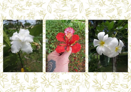 THE LAST RESORT BLUEflowers