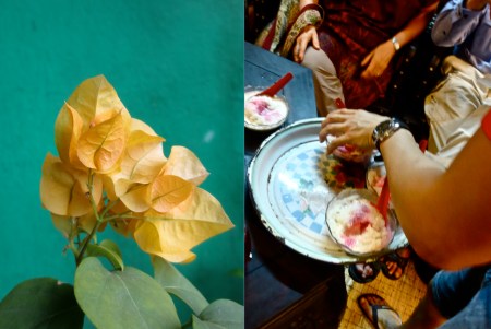 BOUGANVILLIA ICE KACHANG