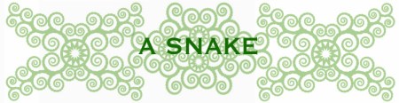 bees-work-blog-frida1-1SNAKE