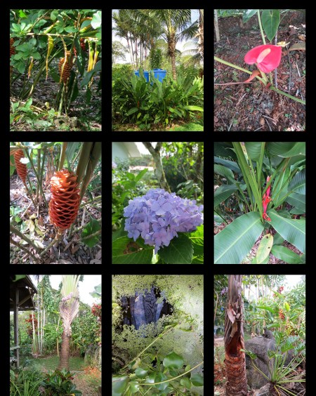 PAINTER GARDEN_Page_1