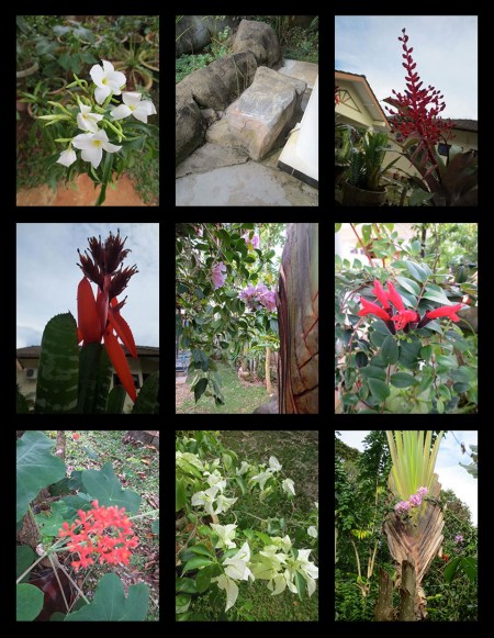 PAINTER GARDEN_Page_2