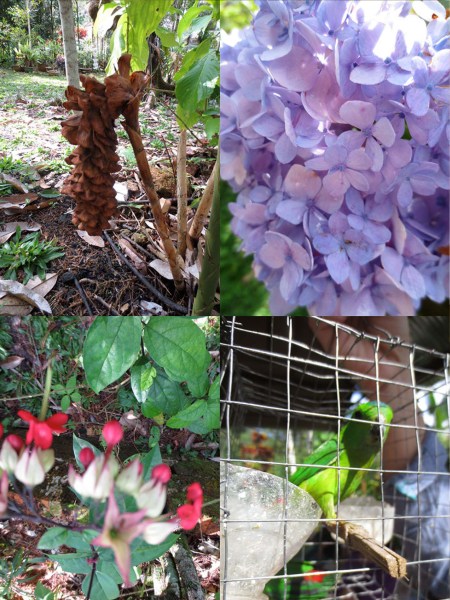 abeng 40_Page_3 copy