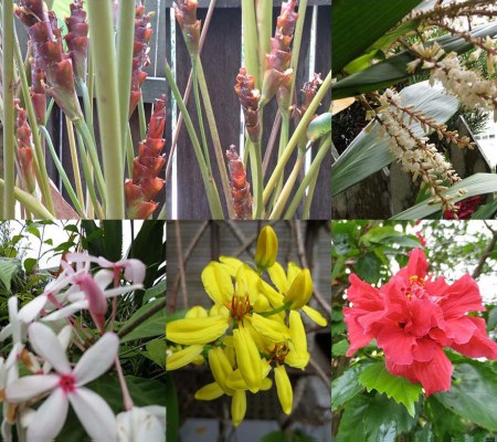 FLOWERS 2 SATHUDAY 39_Page_1 copy