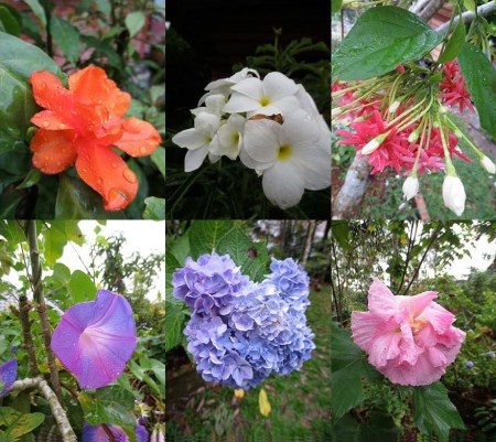 RSA'S FLOWERS_Page_1 copy