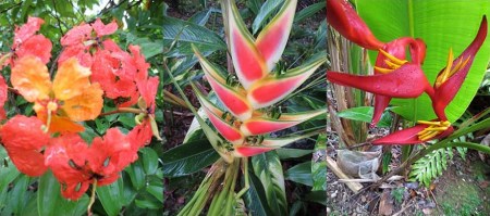 RSA'S FLOWERS_Page_2