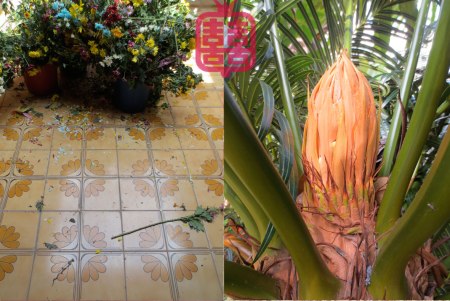 GOODBYEE-KUCHING-cny15