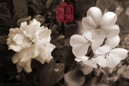 OZMOSIS-MELBOURNE-WHITE