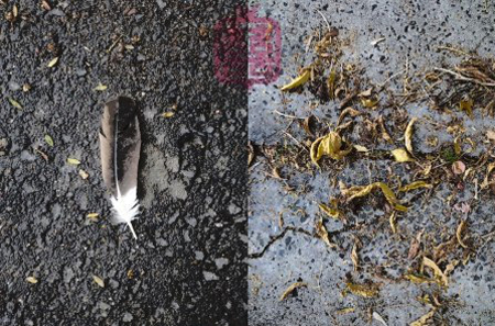 ozmosis-autumn-dr-wheelpostereyes-1