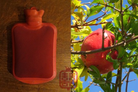 OZMOSIS-AUTUMN-HOT-AND-HOT