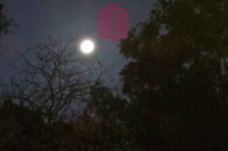 OZMOSIS-autumn-moon-