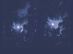 autumn-moon-b