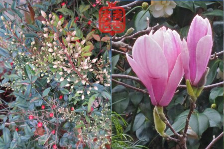 OZMOSIS-(APPENDIX)15