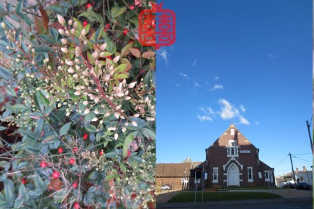 OZMOSIS-(APPENDIX)18