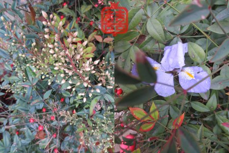 OZMOSIS-(APPENDIX)20