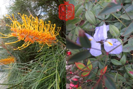 OZMOSIS-(APPENDIX)21