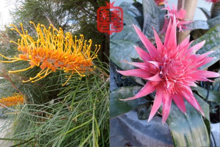 OZMOSIS-(APPENDIX)24