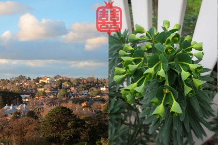 OZMOSIS-(APPENDIX)29