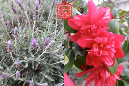 OZMOSIS-(APPENDIX)31