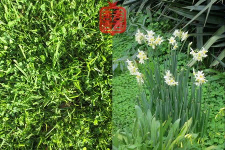 OZMOSIS-(APPENDIX)34