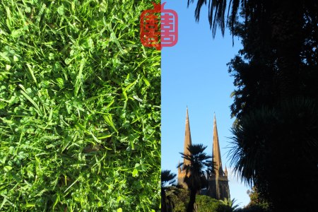 OZMOSIS-(APPENDIX)35