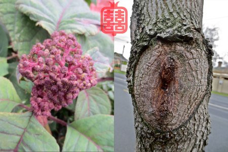 OZMOSIS-(APPENDIX)39