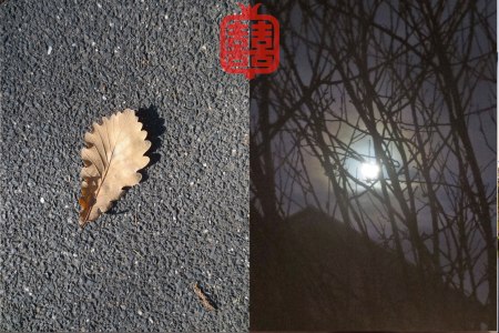 OZMOSIS-(APPENDIX)41