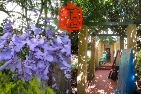 OZMOSIS-(LAST)masterX4