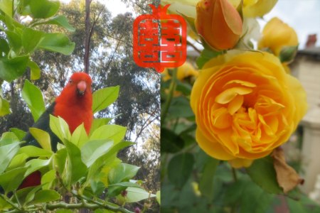 OZMOSIS-(LAST)masterX6