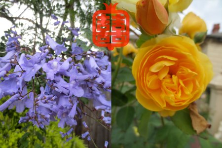 OZMOSIS-(LAST)masterX7